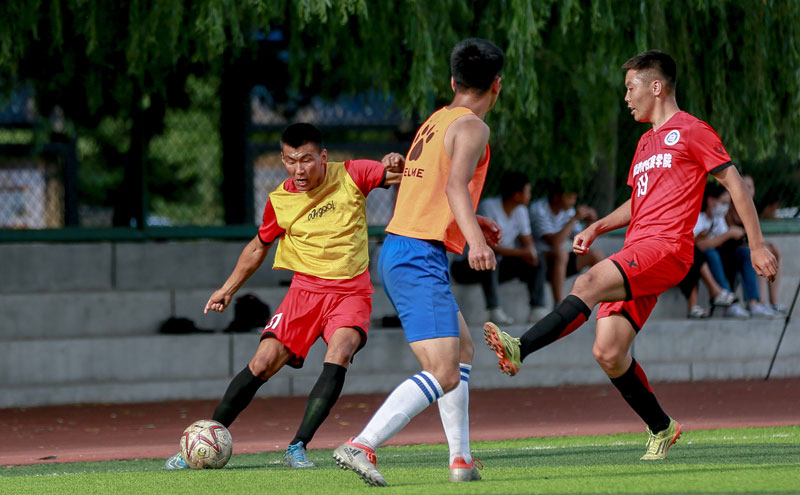 强调的结构 强调的结构